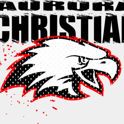 ACS 2021 Deisgn Lights Thumbnail